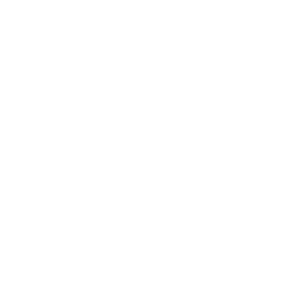 Honduras Well Projects Logo - White
